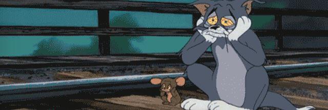 Matheus Canella banner