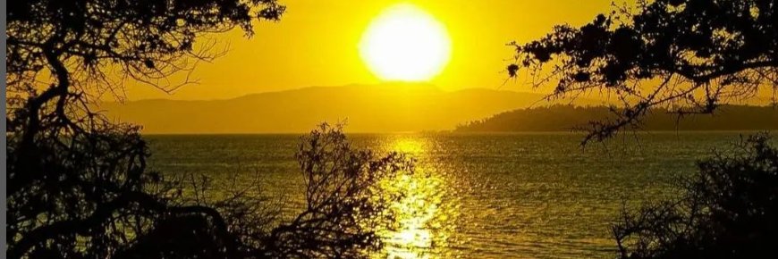 Adri - E aí, Bora lá Comer Coxinha..?☕️🍗🌻 banner