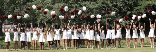 hillgrove_cheer Profile Banner