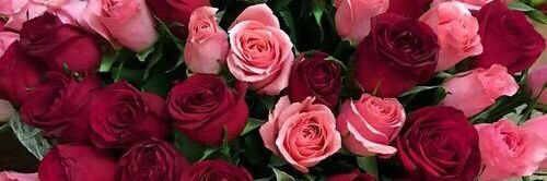 rafafariasss's profile banner image