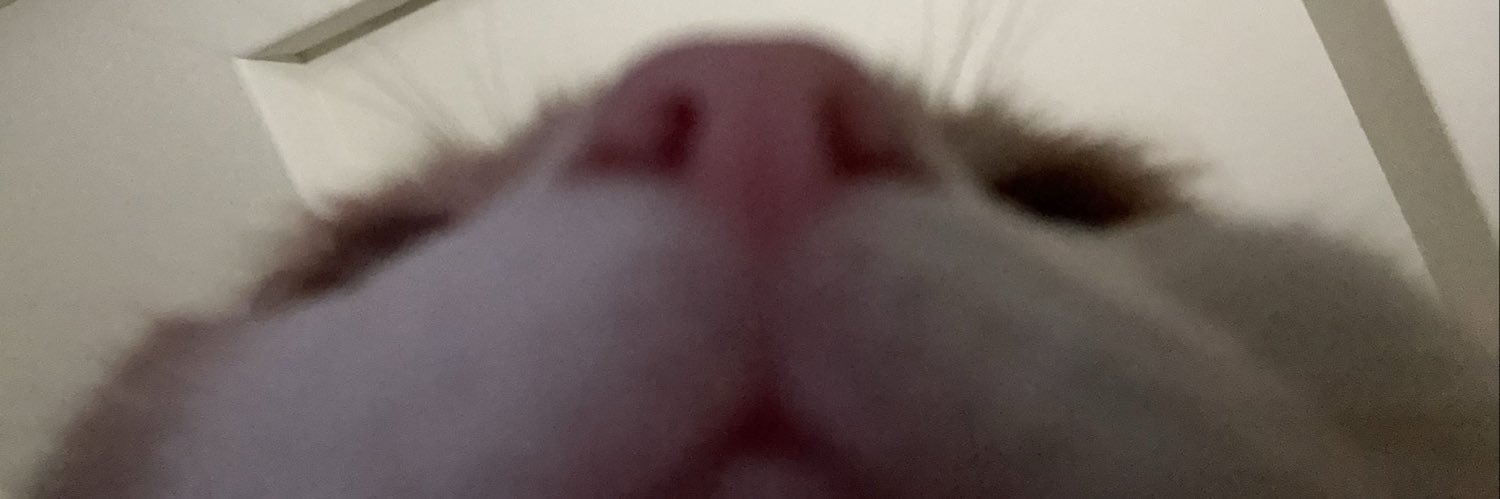 ShadyCows's profile banner image
