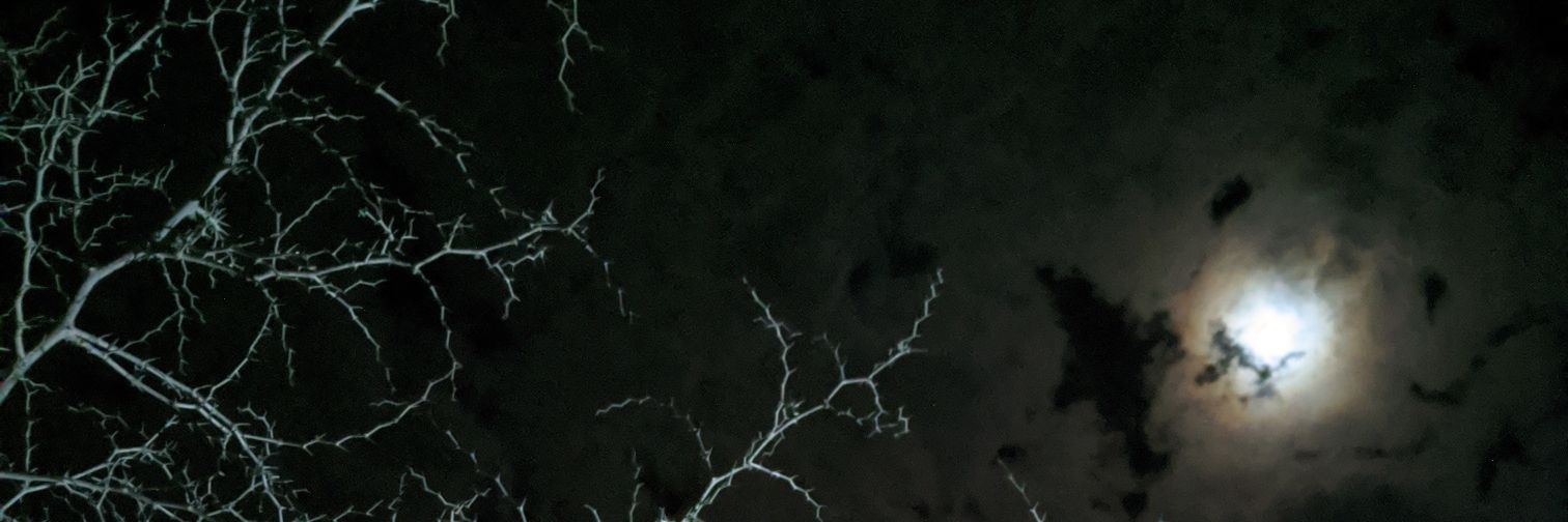 mansuorhimo's profile banner image