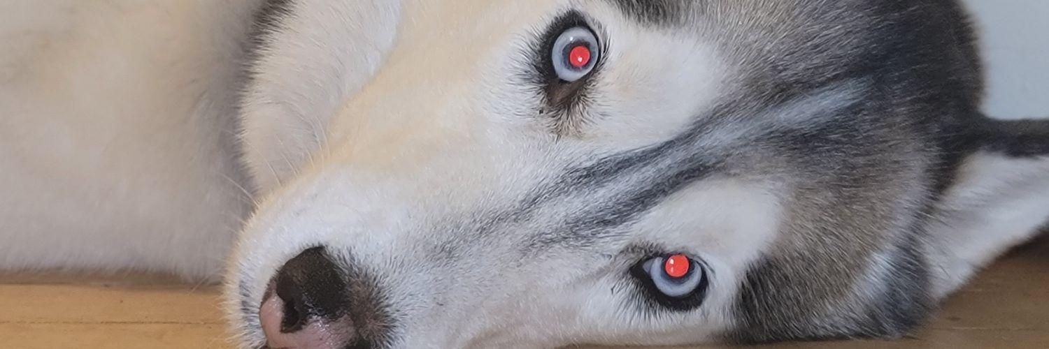 aRoyalee's profile banner image