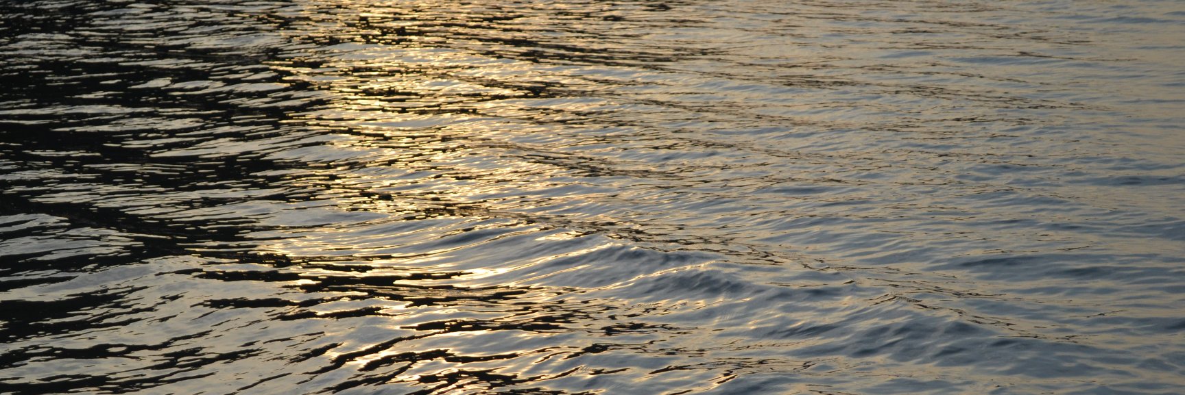 Grace Chapman banner