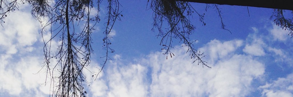 brunno's profile banner image