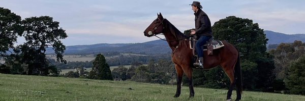 Nick Beale Profile Banner