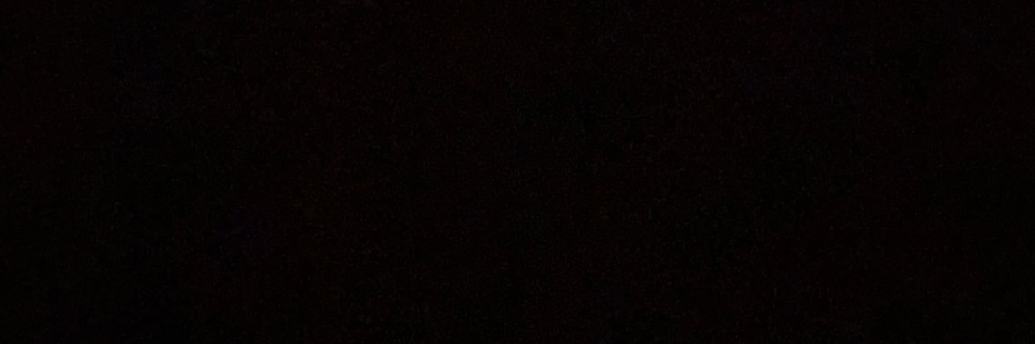 micaelazorn's profile banner image
