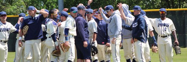 UAFSLionsBSB Profile Banner