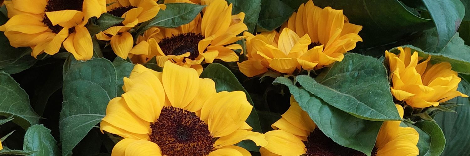 BeLikeMari's profile banner image