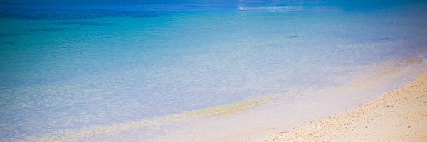 ajs_msk Profile Banner