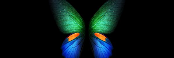 ayadiTamimi Profile Banner