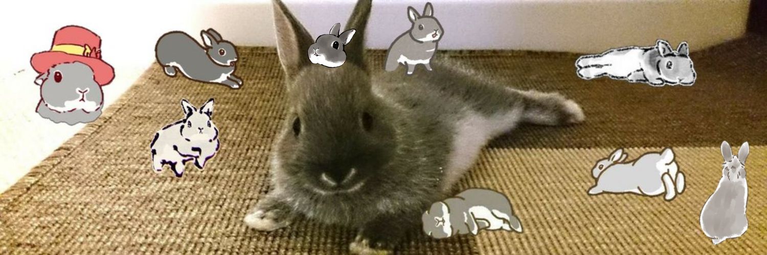 はな🐰's banner