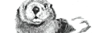 idreamaboututoo's profile banner image