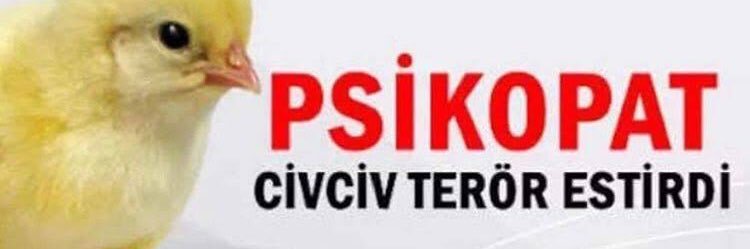 ecemsahin's profile banner image