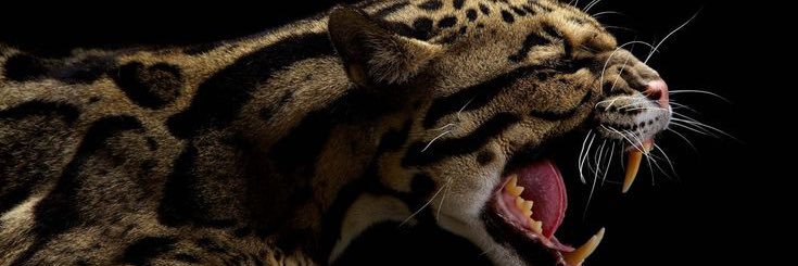 kalm_26's profile banner image