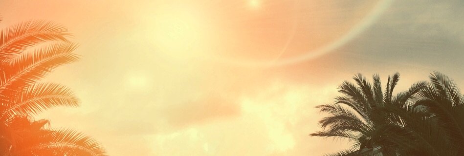 NicolPatrizi's profile banner image
