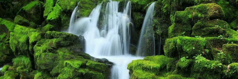 Andre Milchewski banner