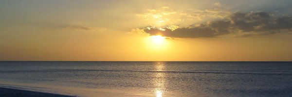 jorgebj Profile Banner