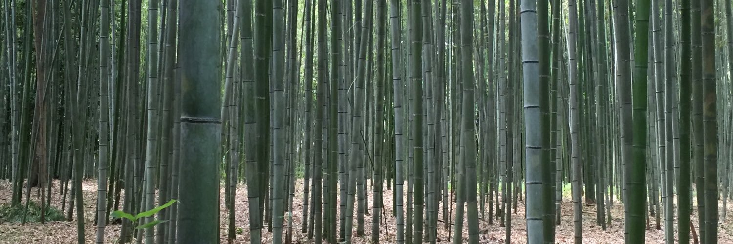 Anne Touboulic, Ph.D. banner