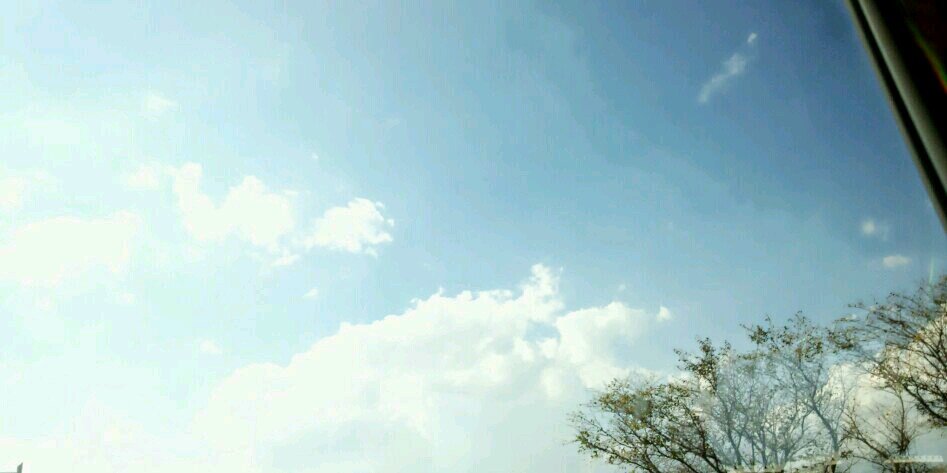 BuuMa1o's profile banner image