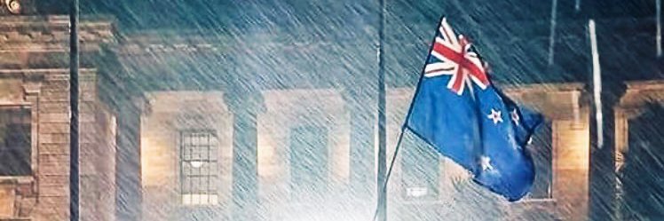 Fighting Left Loonies🇳🇿 banner