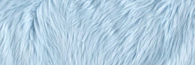 RaquelJoelson's profile banner image