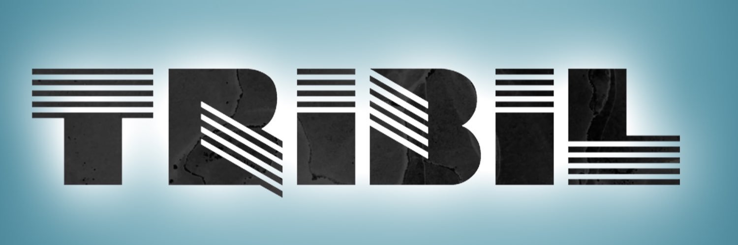 DjTribiL's profile banner image