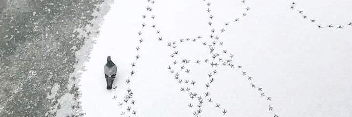 rorem__'s profile banner image