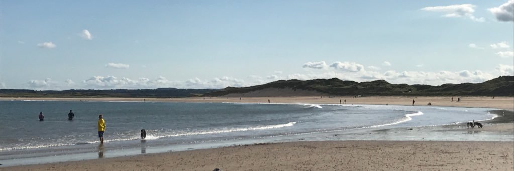 dave__lamb's profile banner image