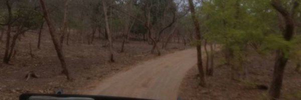 sumedhasharma86 Profile Banner