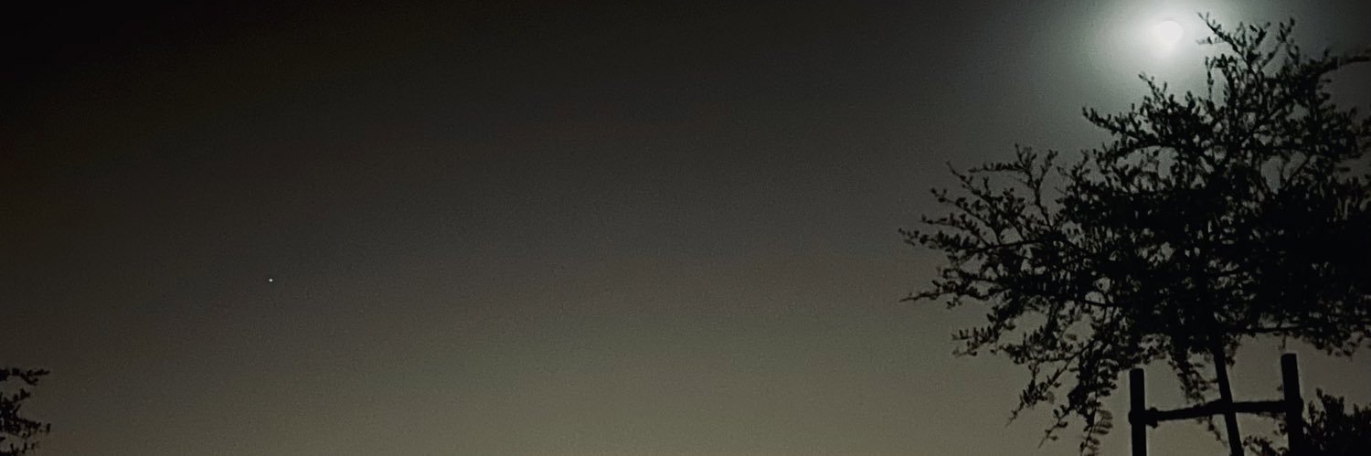 alt0ll's profile banner image