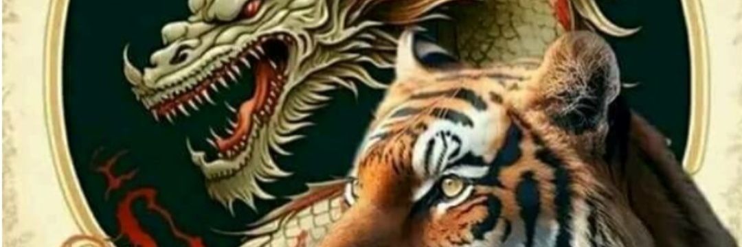 wimpi1979's profile banner image
