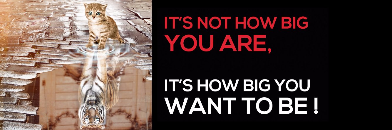 BIG SUCCESS France banner