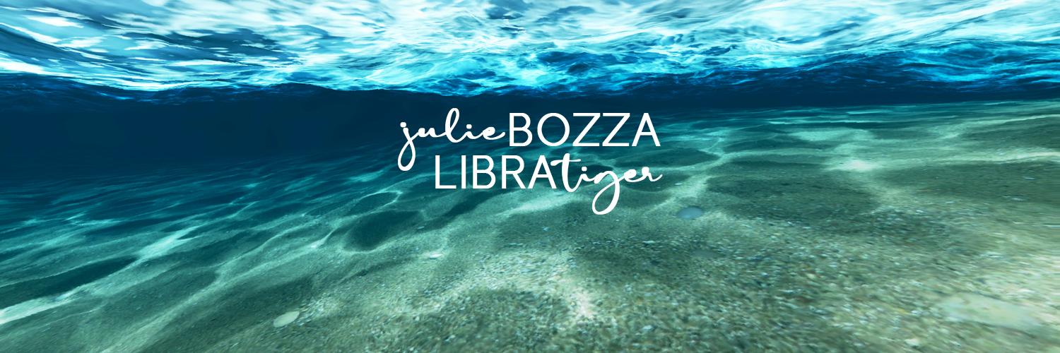 Julie Bozza (Let's fly!) banner