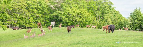 Versailles_Farm Profile Banner