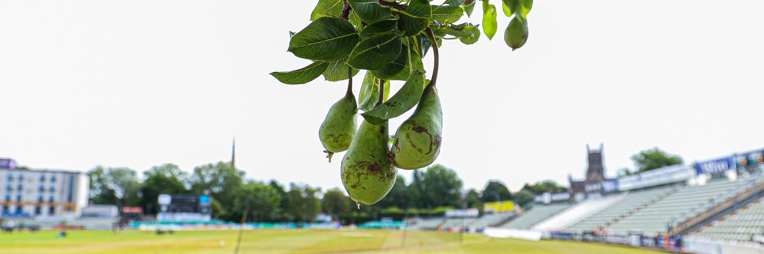 Worcestershire CCC's banner