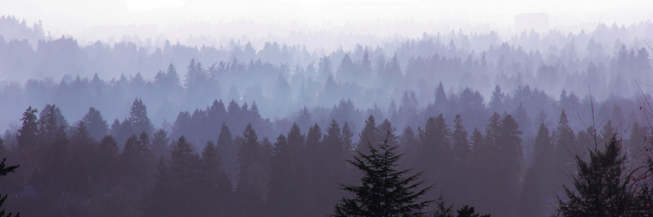 therealhpf's profile banner image