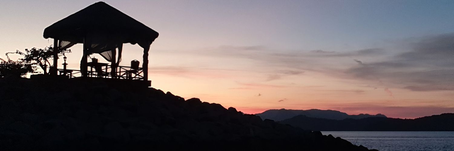 moushhmii's profile banner image
