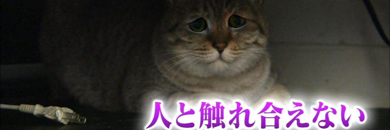 sword92cutlass's profile banner image