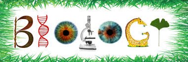 GHSBiology1's profile banner image