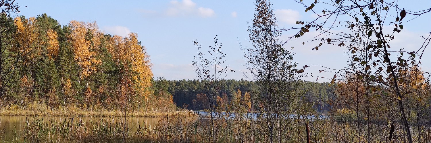 Stani Slaavi🏴 banner