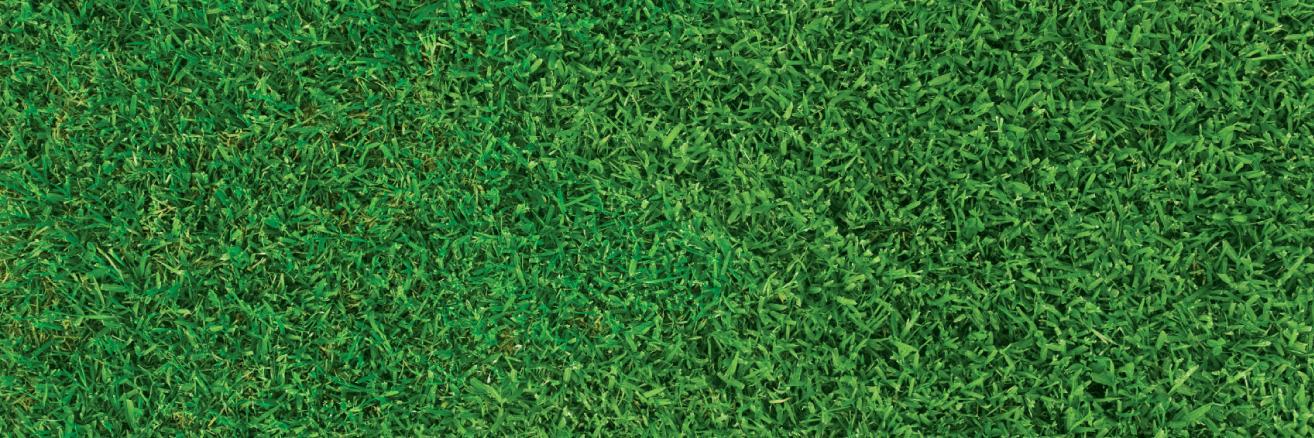 Grasshorse's profile banner image