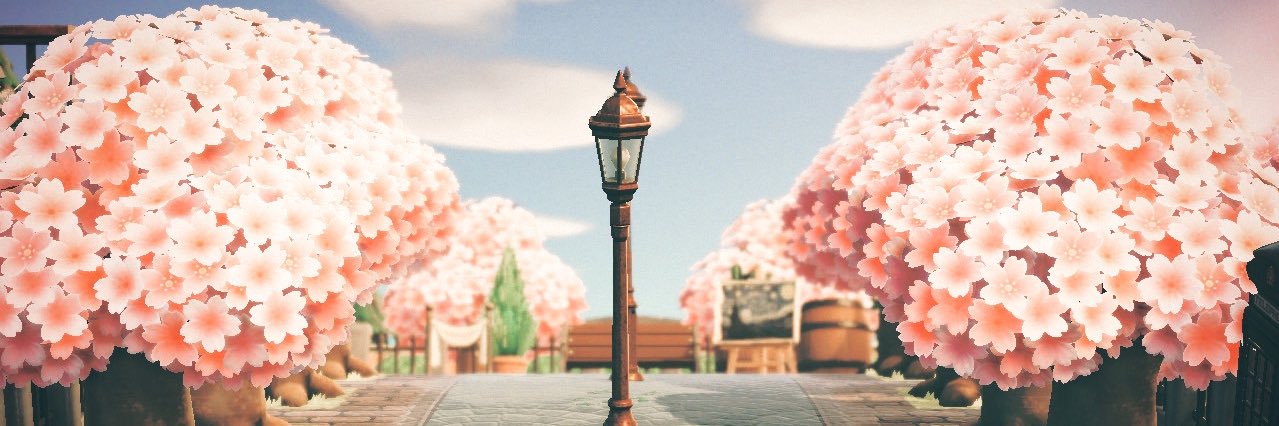 ommotii's profile banner image