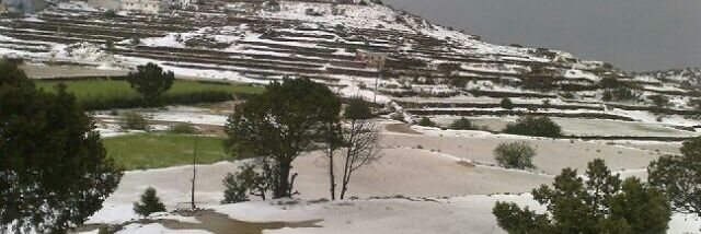 النخبوي.بن شعوان banner