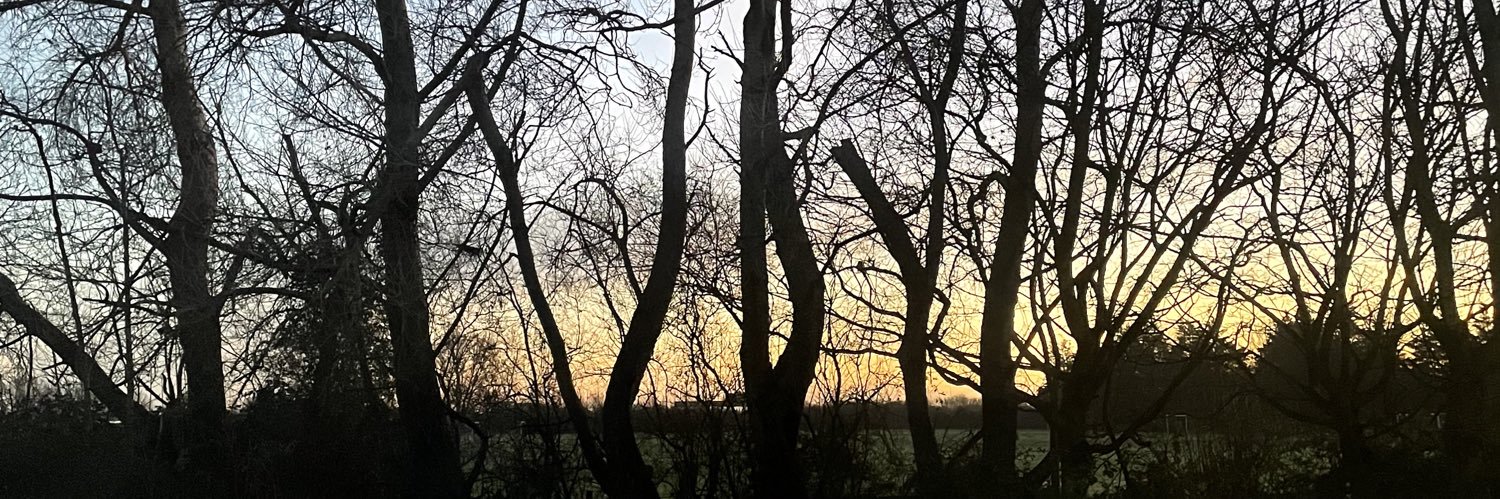 throughthekehoe's profile banner image