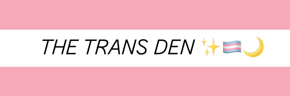 TheTransDen's profile banner image