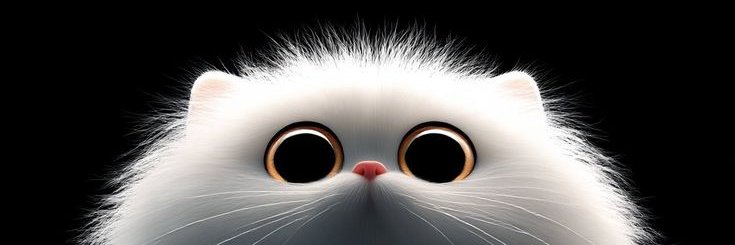 joyce72r's profile banner image