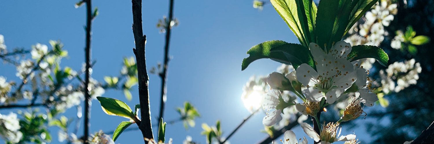 Cifer1105's profile banner image
