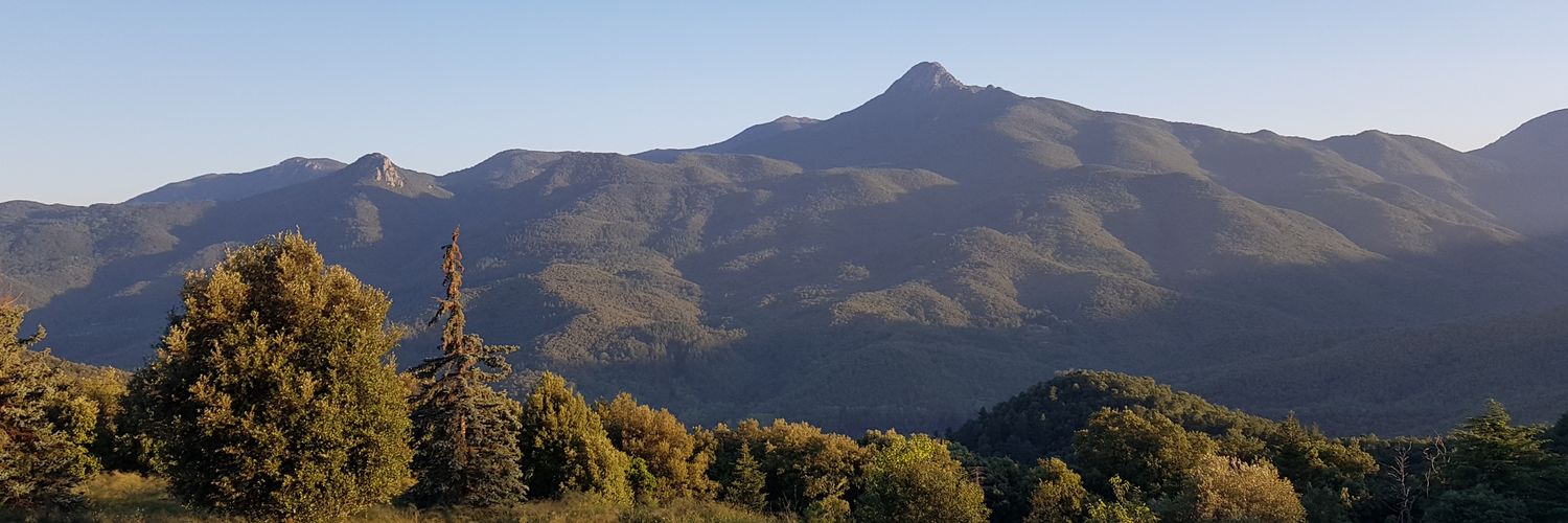 Enric Vendrell banner