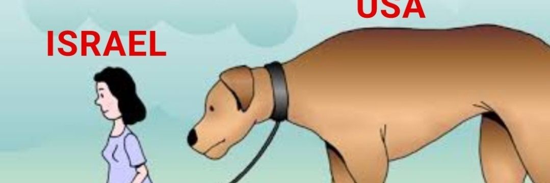 derpilot's profile banner image